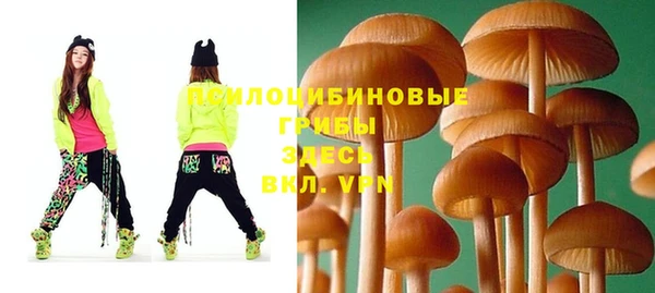 спиды Михайловка