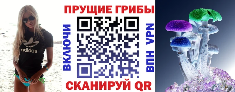 мега ONION  Малая Вишера  Галлюциногенные грибы Cubensis 